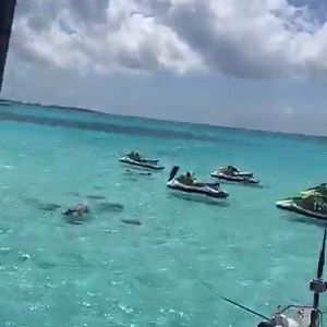 Meet your Posher, Reagan